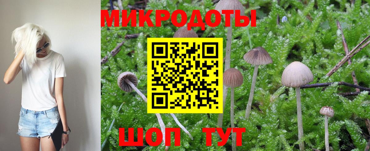 Заинск  Псилоцибиновые грибы Psilocybe  Вход с VPN 